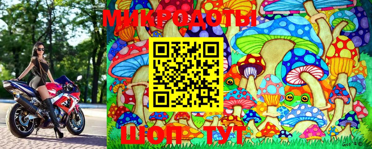 Галлюциногенные грибы Cubensis  Вход с VPN  Псилоцибиновые грибы Cubensis  Крымск 