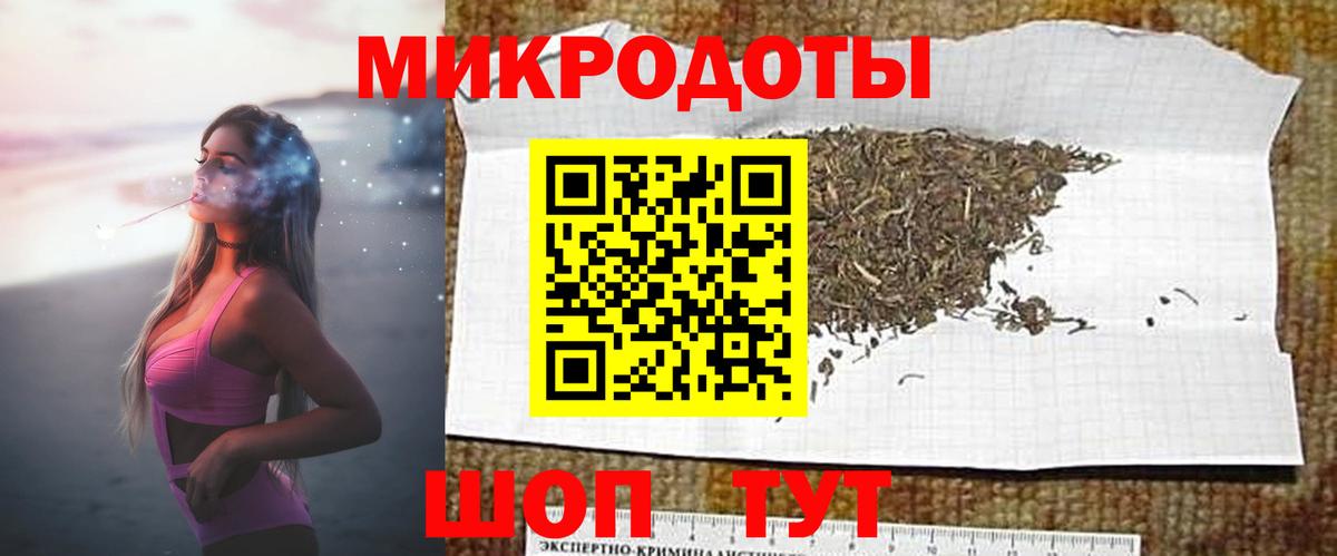 Псилоцибиновые грибы Psilocybine cubensis Крымск